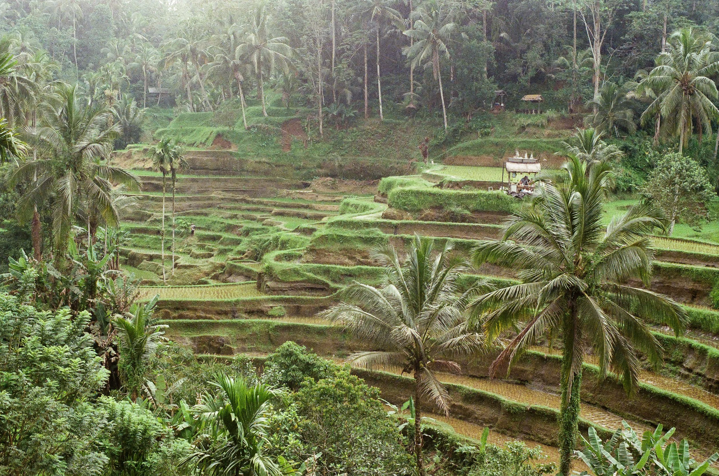 000726260014.jpg