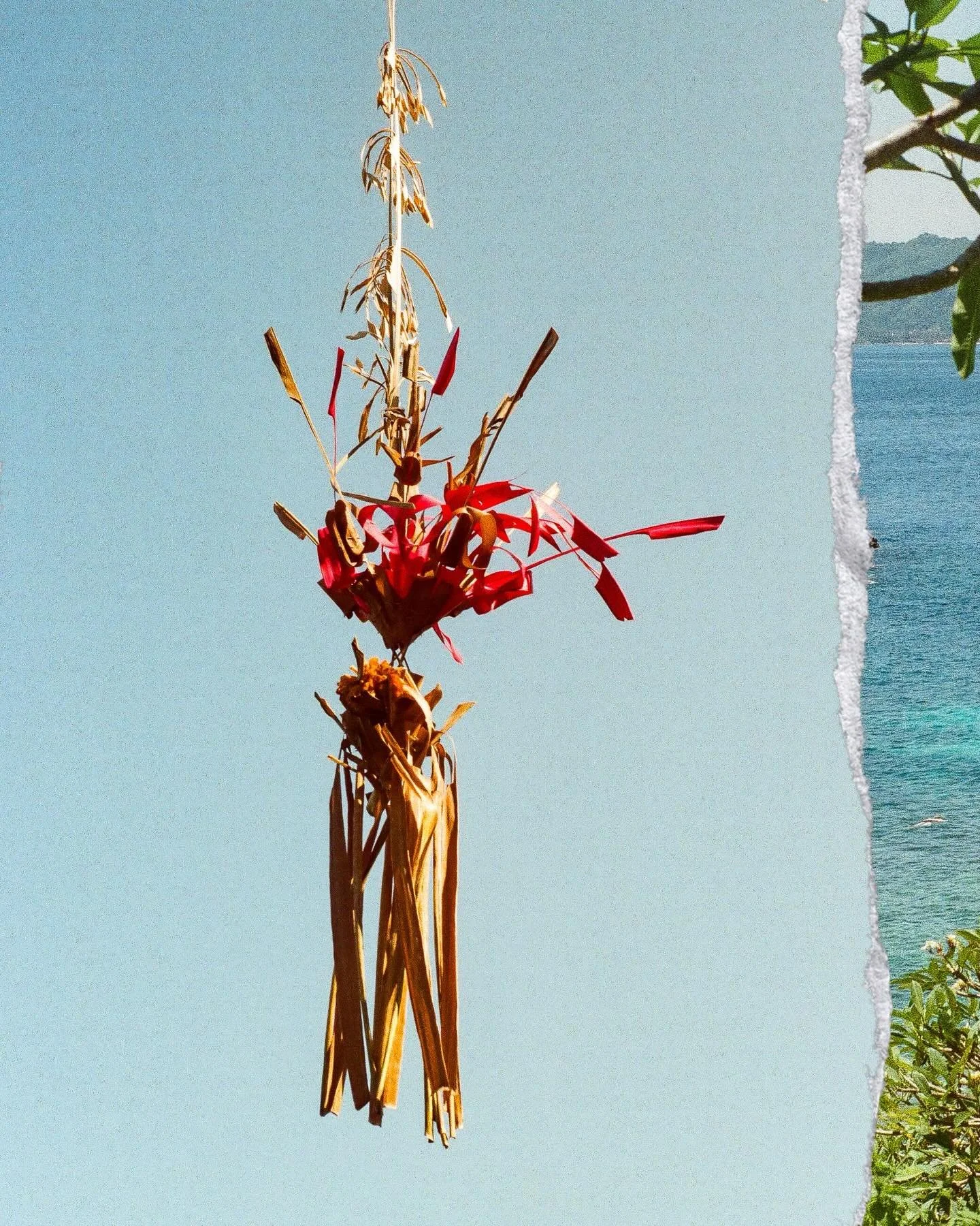 Film pt III: Bali, Indonesia 🌺🇮🇩
🎞️ 35mm

More photos and words from our incredible honeymoon in Asia on my blog! Link in bio 🤍