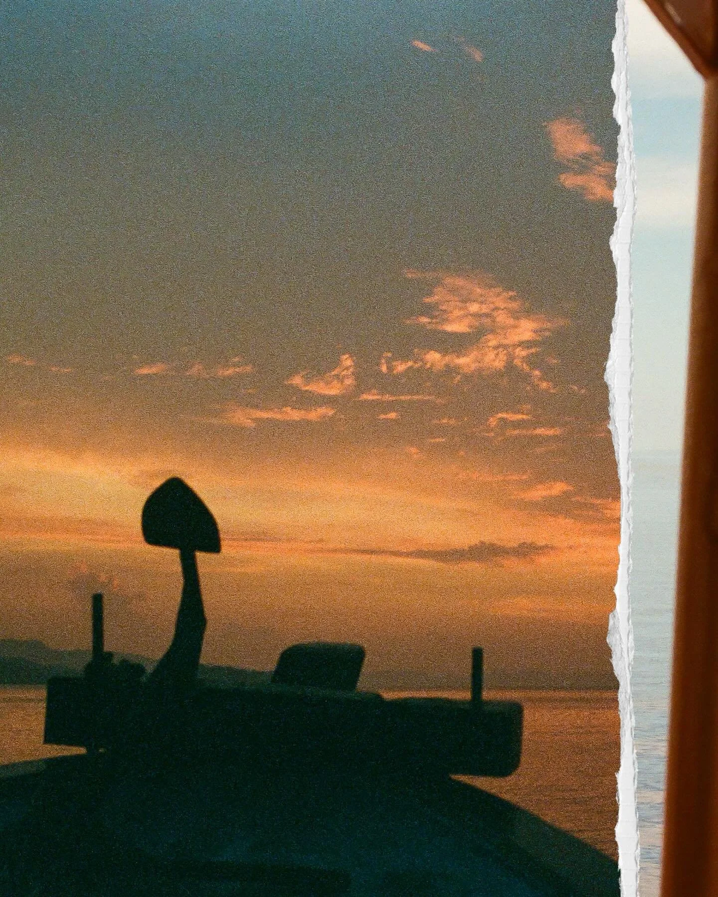 Film pt. IV: Raja Ampat, Indonesia 🌊
🎞️ 35mm 

Enjoy these film shots from a week living aboard a dive boat @foundatsea.raja.ampat 💙 more words on this trip on my blog!