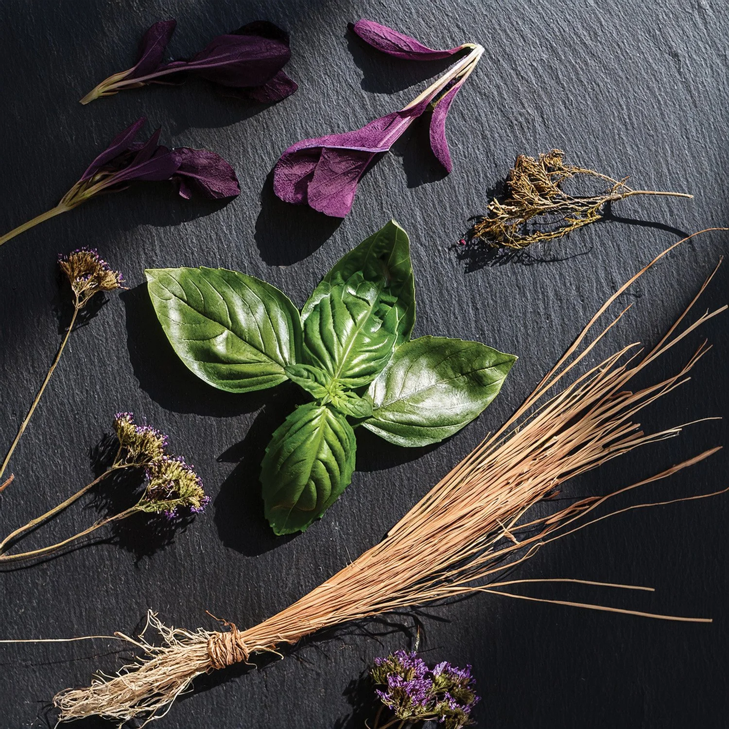 Basil.jpg
