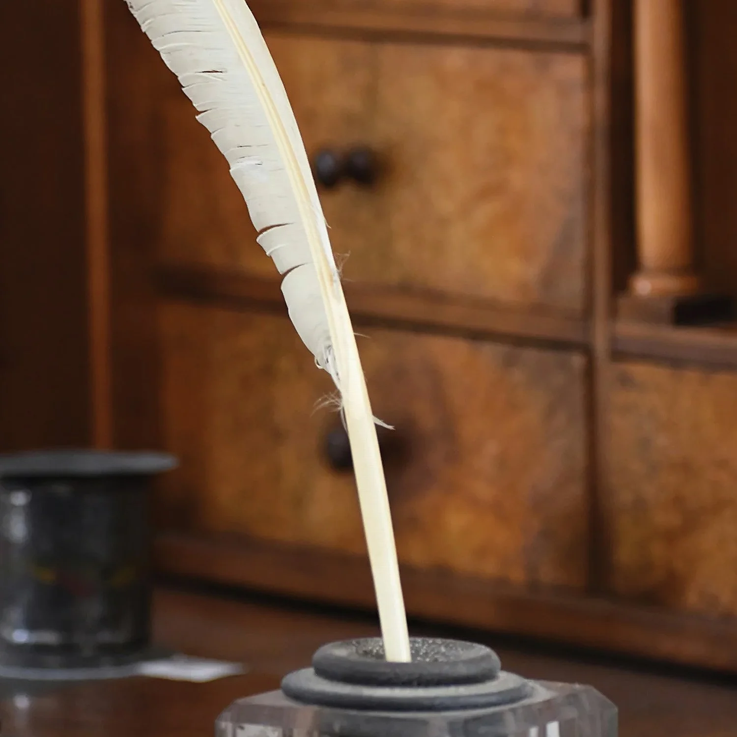 Quill ink.jpg