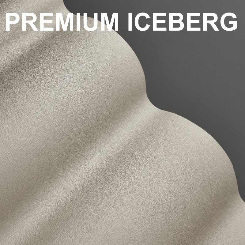 premium iceberg.jpeg