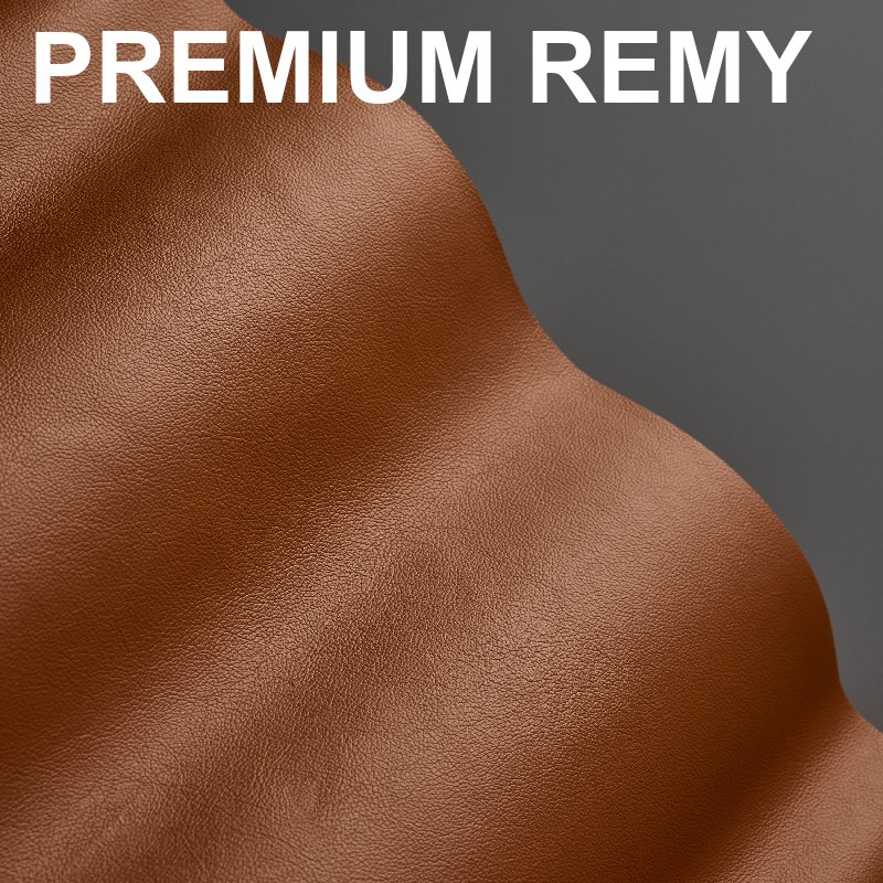 premium remy.jpeg
