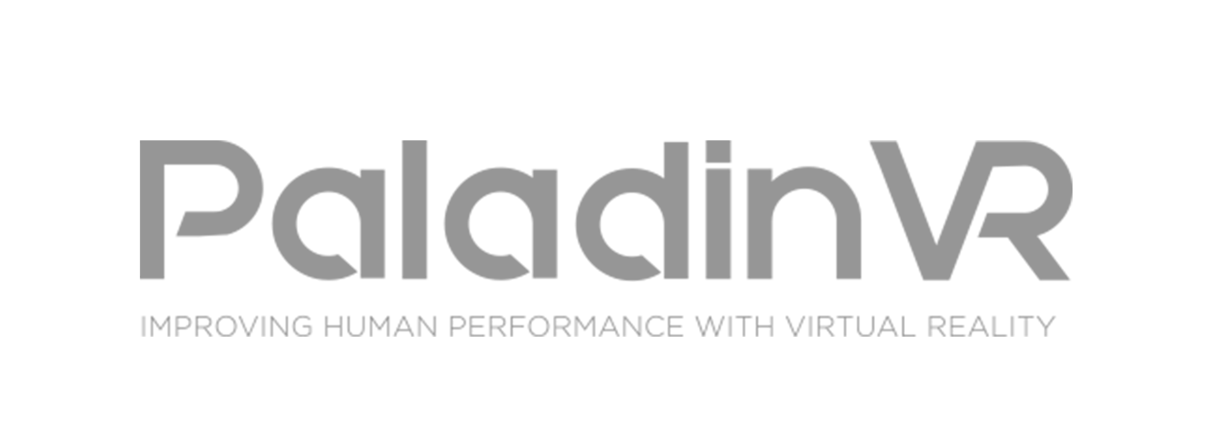 paladinVR_logo.png