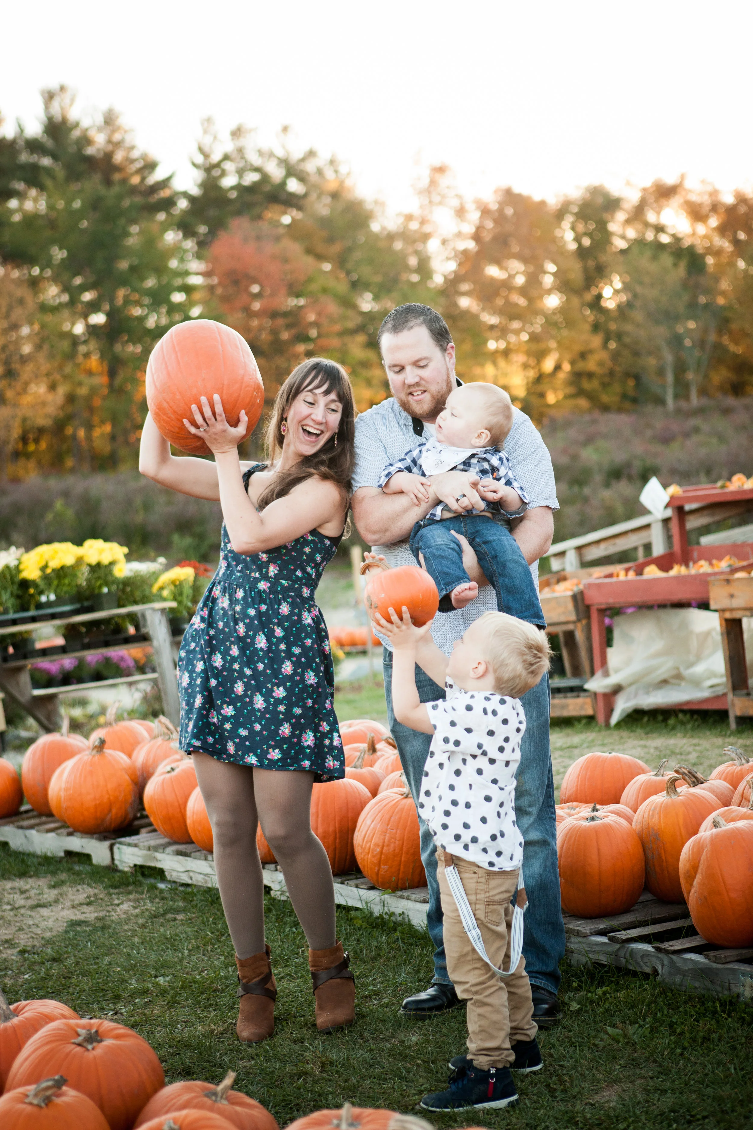 <b>PUMPKIN PATCH</b><br>Tappan Family