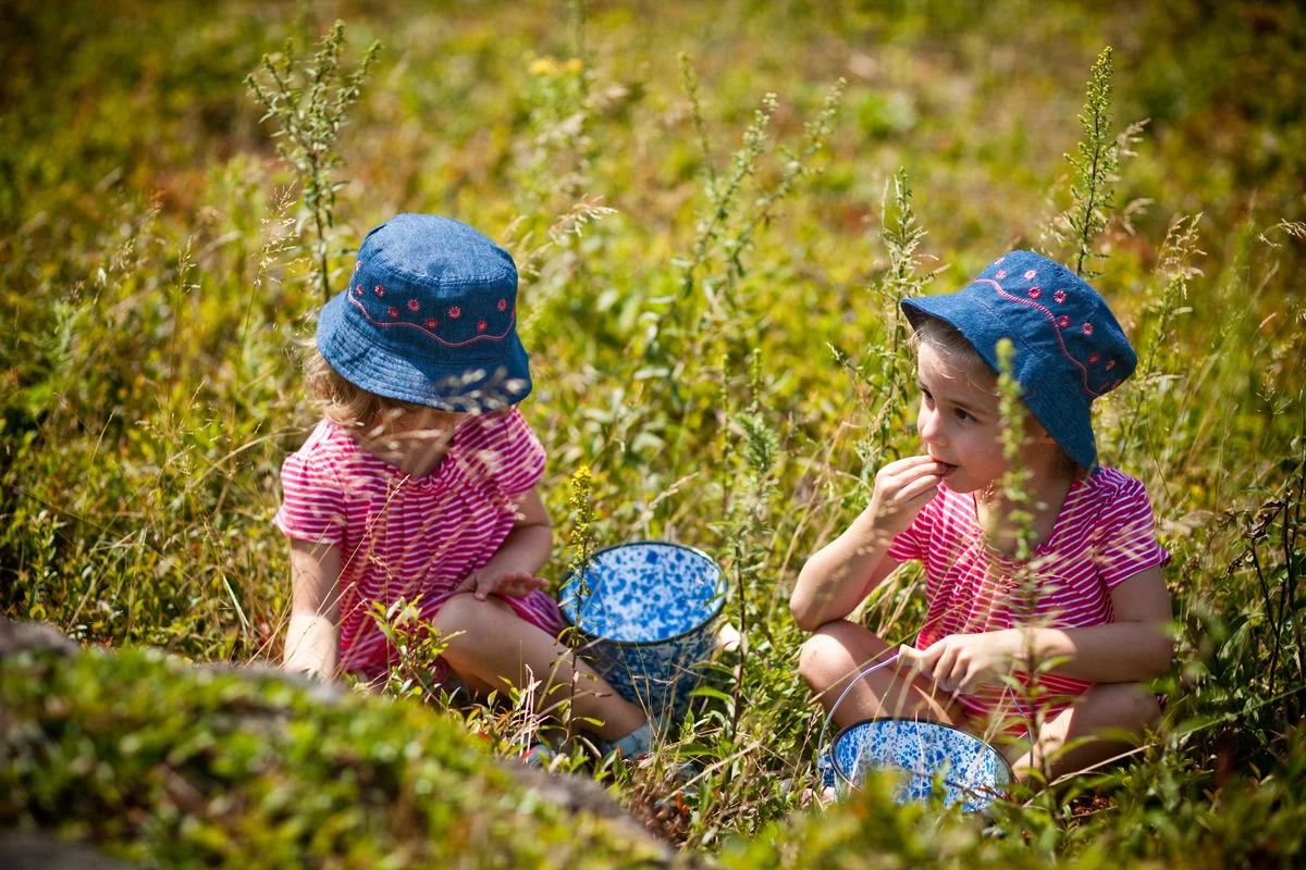 <b>PICKING BLUEBERRIES</b><br>Edie & Sage