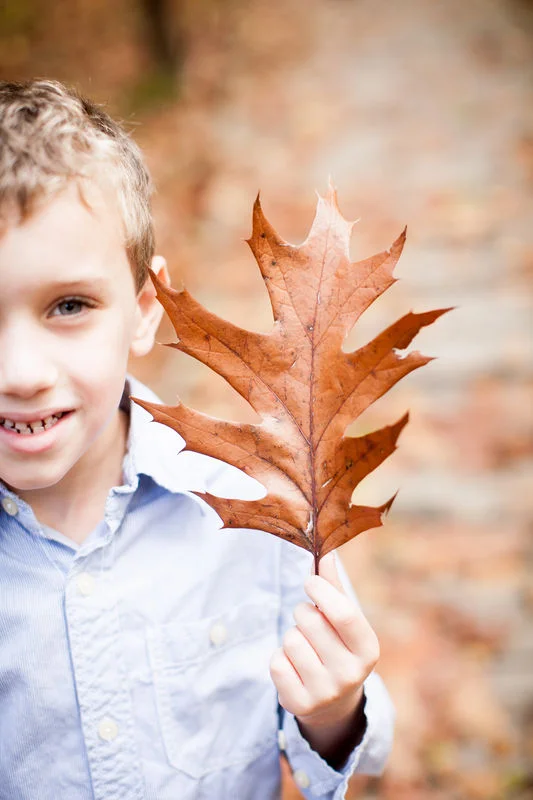 <b>FALL FAMILY FUN</b><br>The Wyeth Family