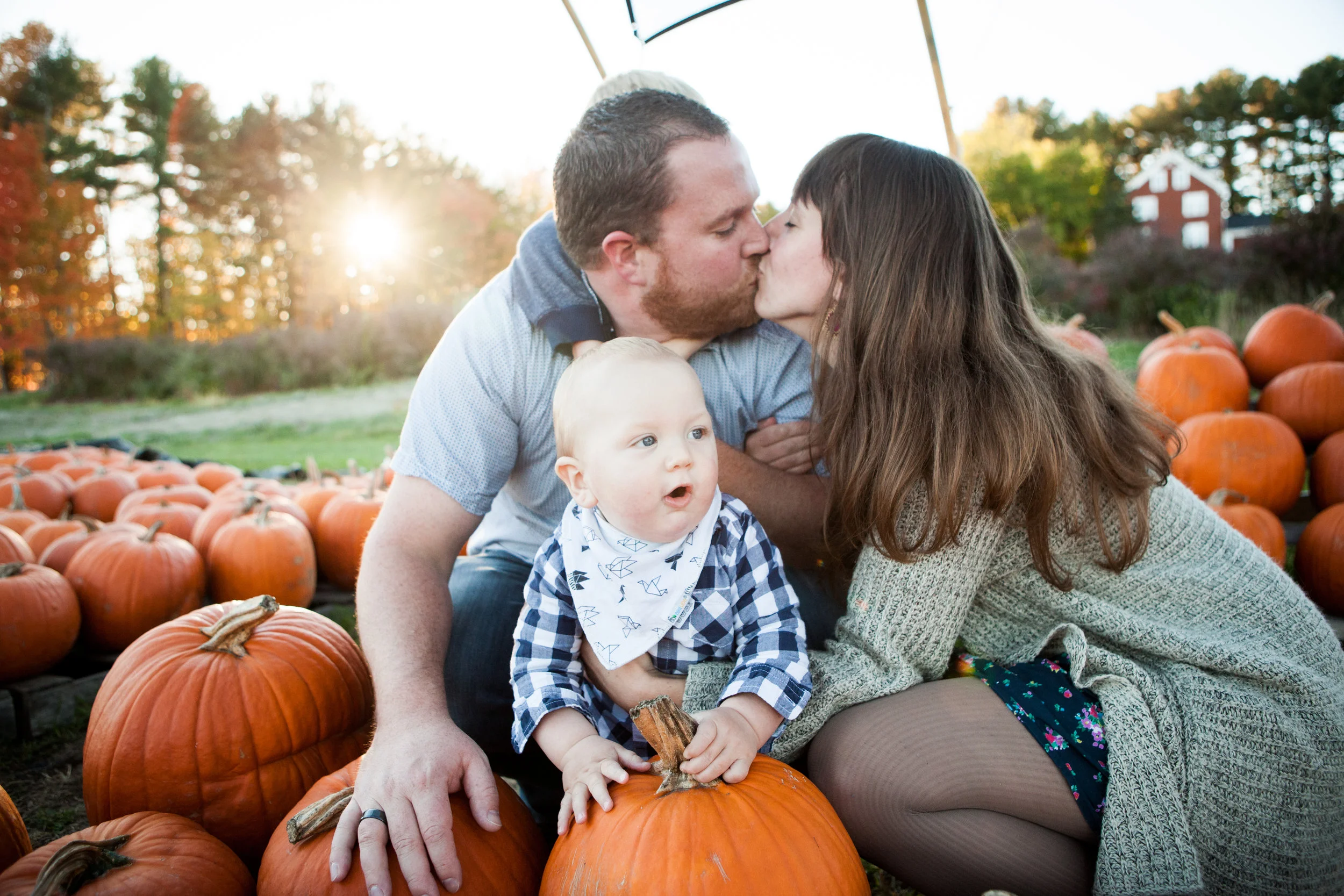 nh_pumpkin_patch_0010.jpg