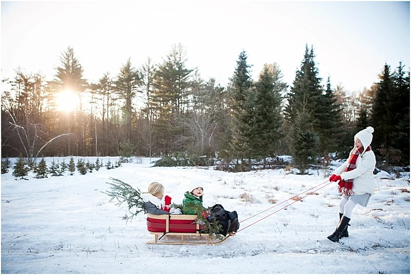 christmas_tree_farm_portrait_maine_0005.jpg