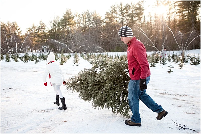 Christmas Tree Farm  |  The Schneider Family