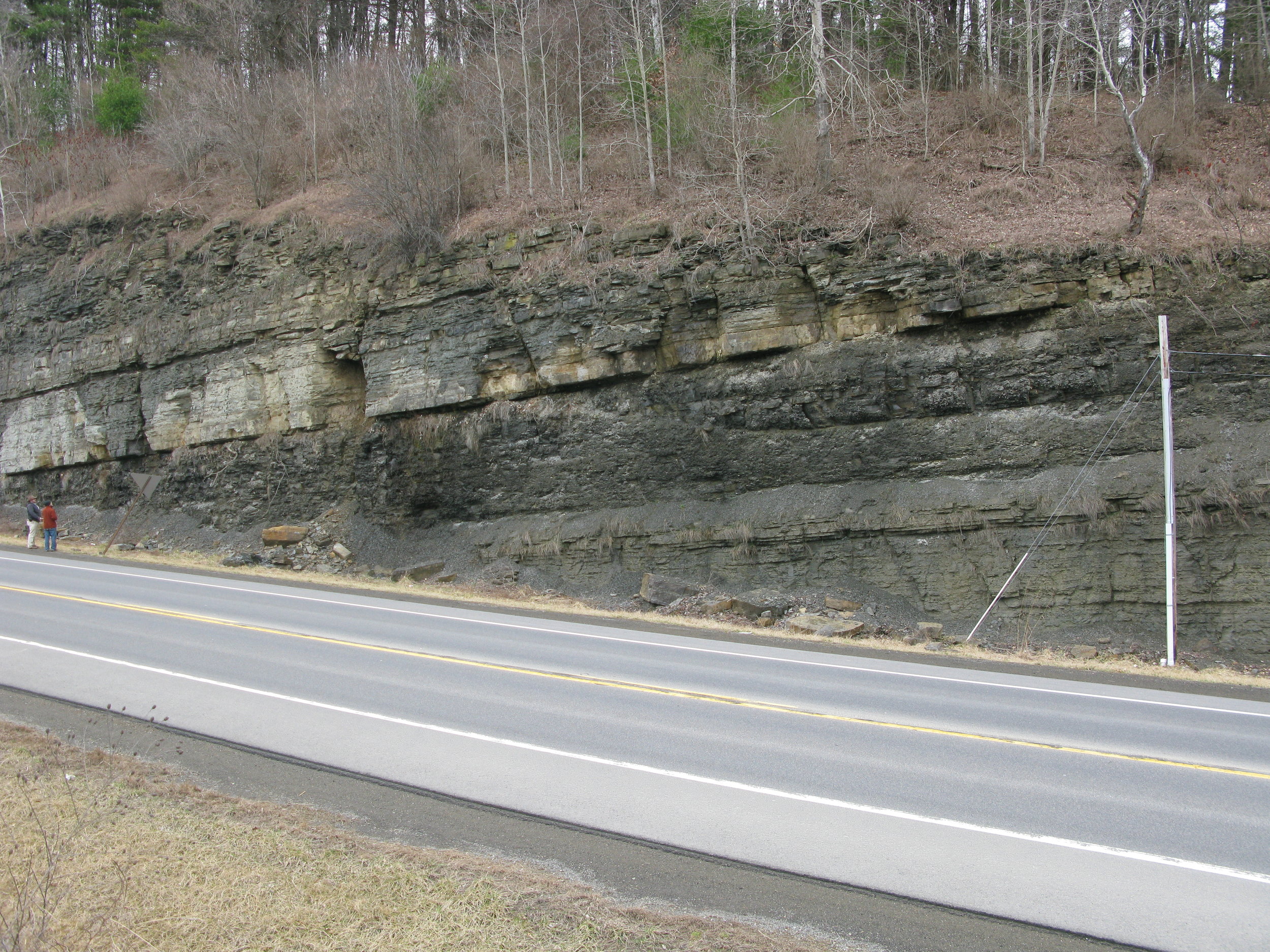 Figure 1. Outcrop at the Tioga, PA locality with myself and Dr. Andrew Bush to the far left. Outcrop begins in the Wiscoy Formation, overlain by the Pipe Creek (the shale unit in the center of the photo) and Canaseraga formations. Detailed stratigraphy below in figure 4, locality map shown in figure 5.