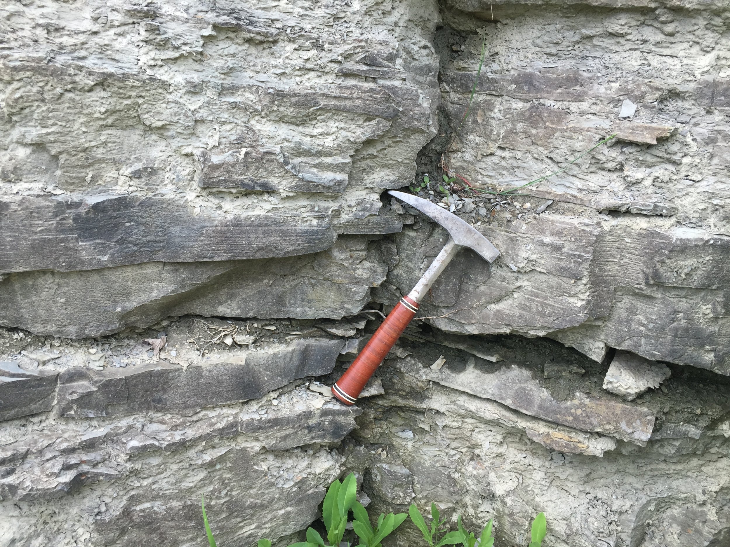 Figure 3. Granule-rich sandstone (the newly named Hammond Member) within the Canaseraga Formation. This coarse sandstone unit overlies the distal silty-shales of the Pipe Creek Formation