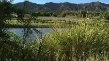 Silt River Preserve Restoration