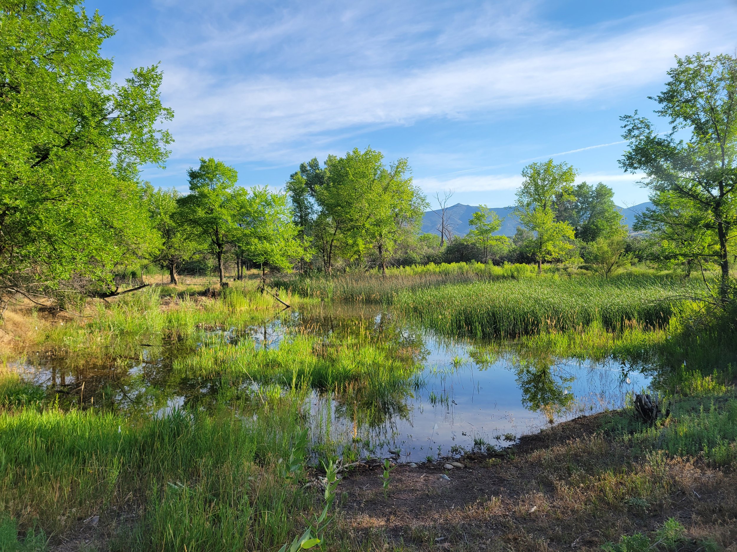 Silt Preserve Pond Photo 7.26.22.jpg