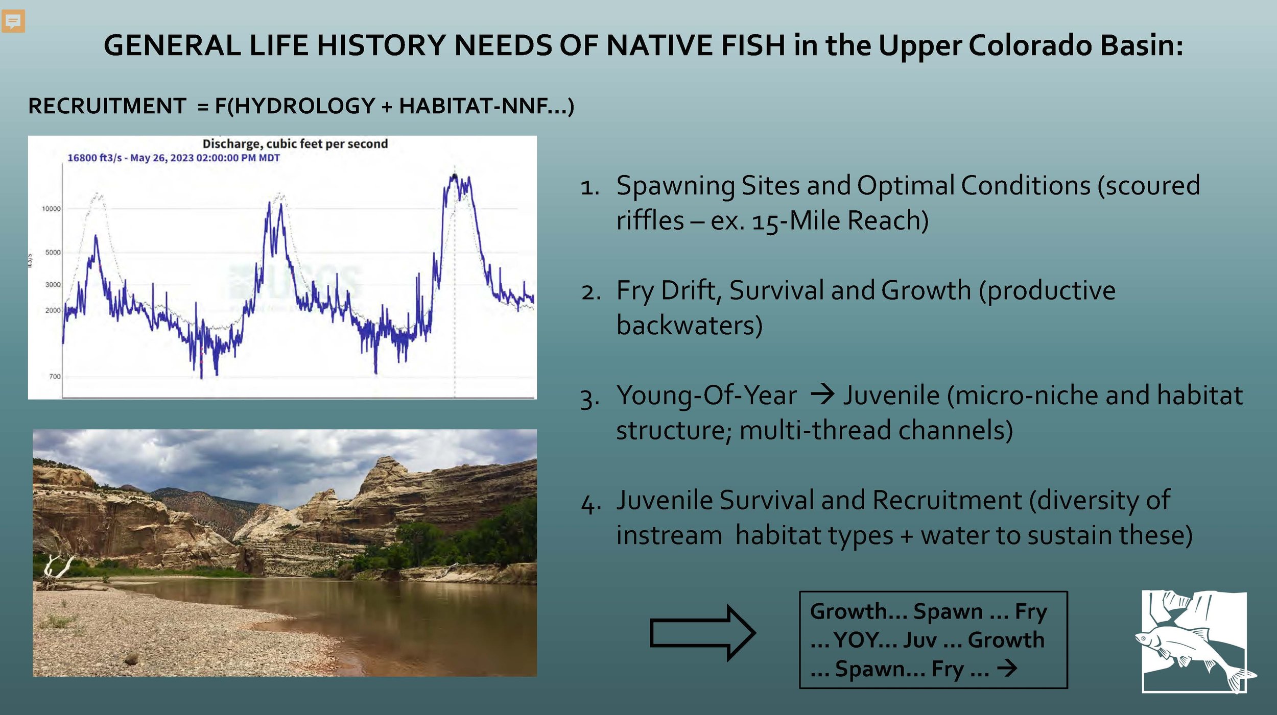 DGraf_ Fish Recovery Program_MCWC_2-22-2024_reduced_Page_05.jpg