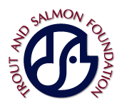 T&S Logo.png