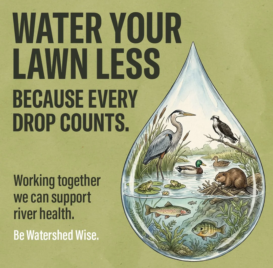 Water &amp; Fire Restrictions July 2026