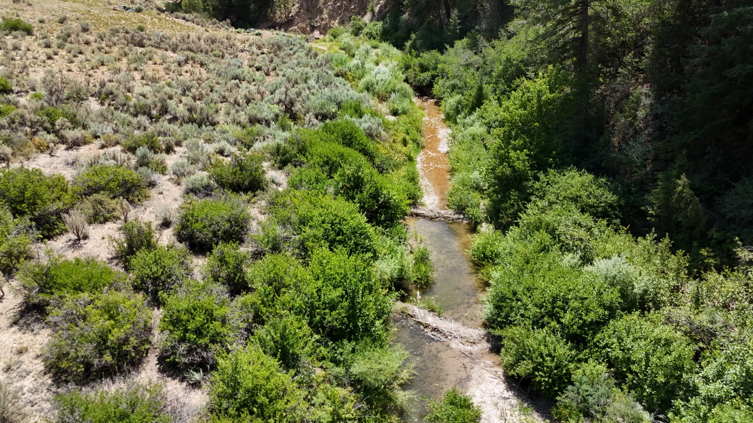 DJI_20250723113632_0059_D.JPG