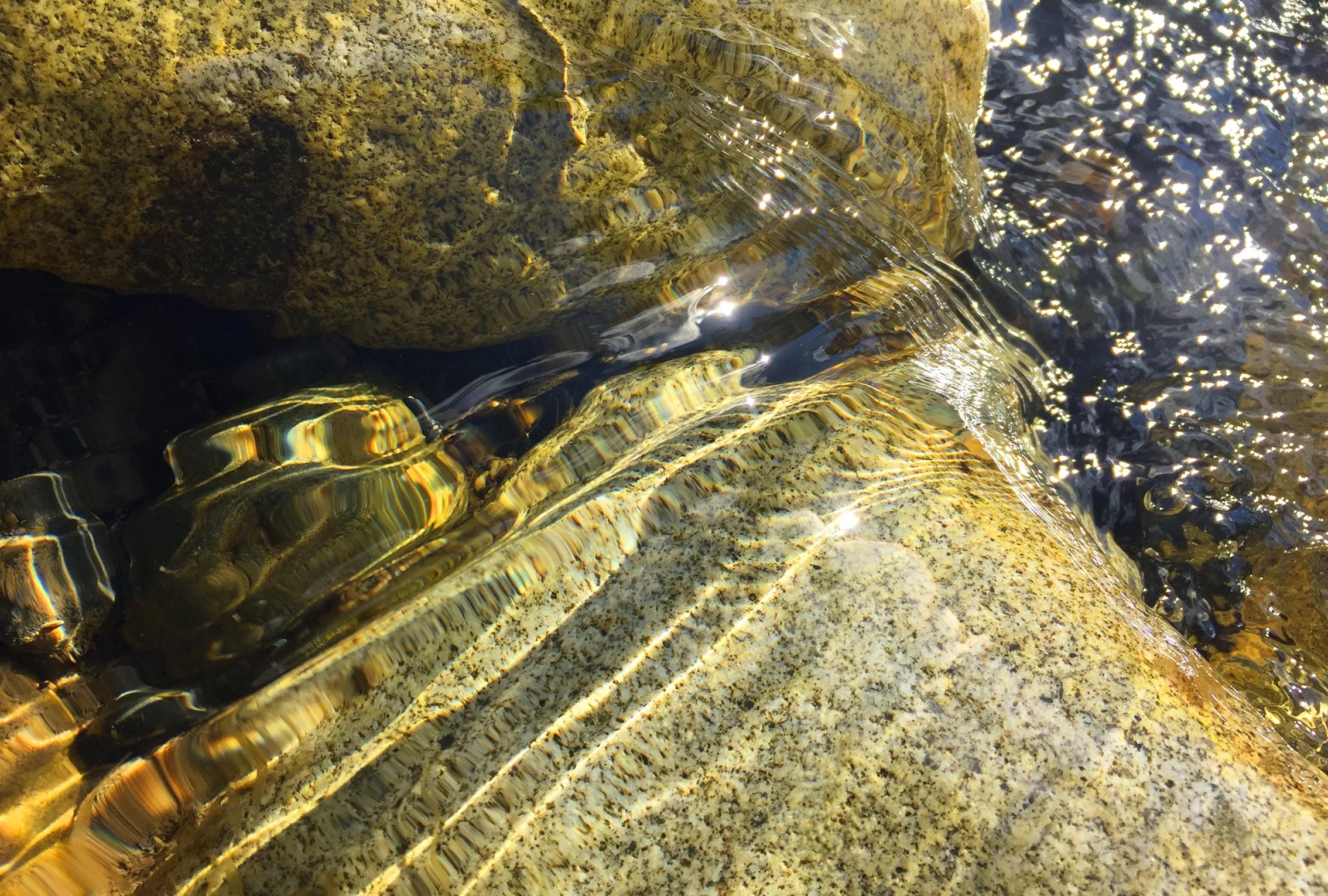 Field_GrizzlyCreekFlow_2025 - John Field (1).jpg