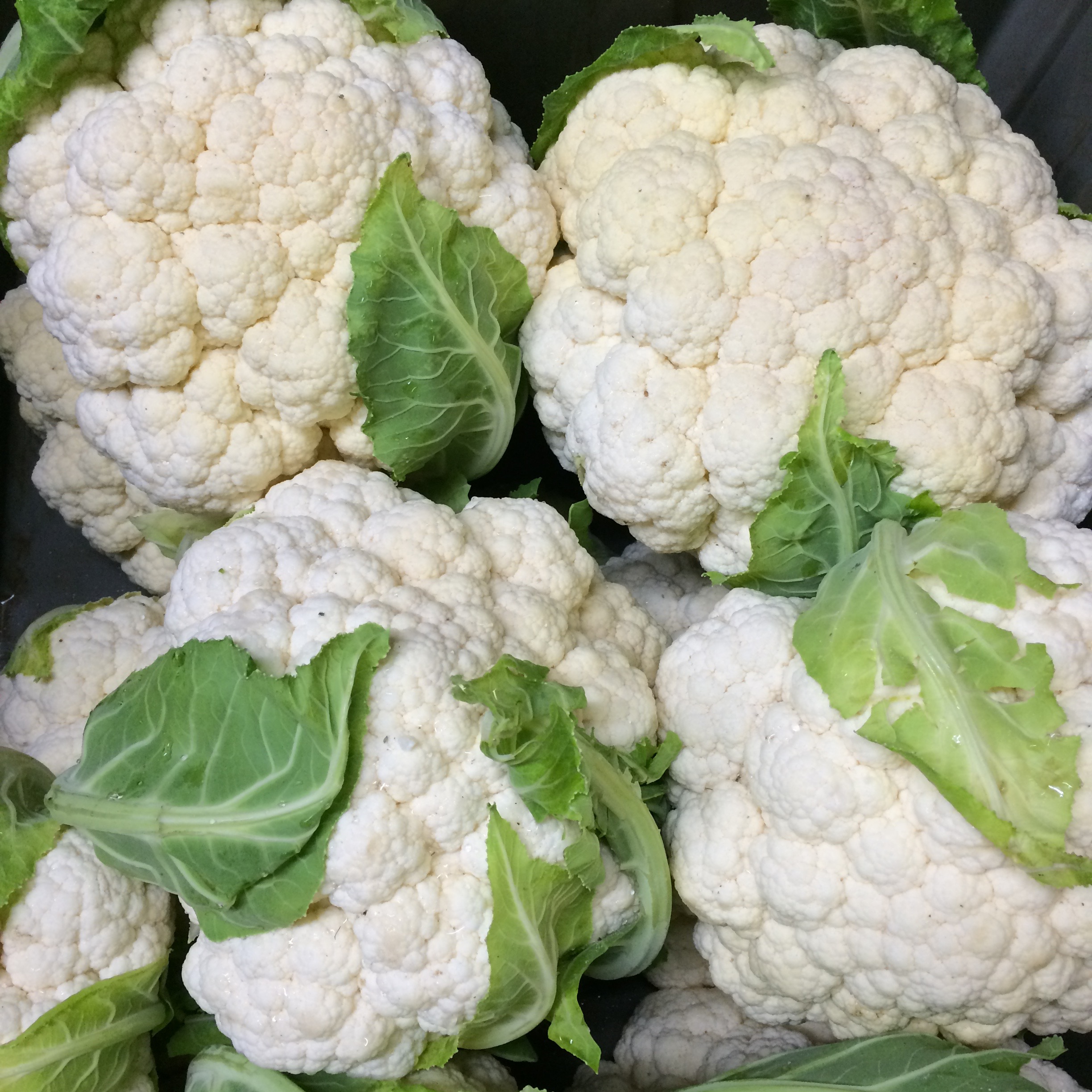 helsing junction farms csa cauliflower pile
