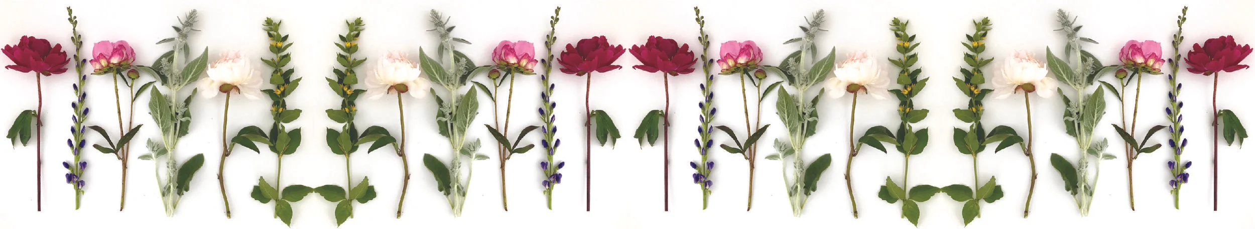 HJF Website Flower Border 2.jpg