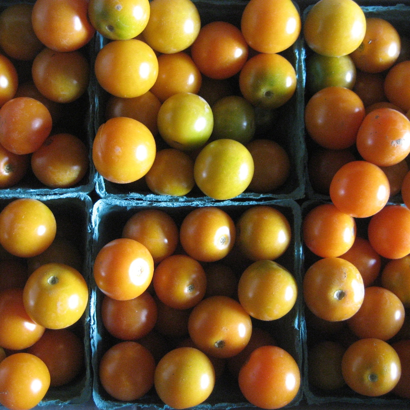 Cherry tomatoes.JPG