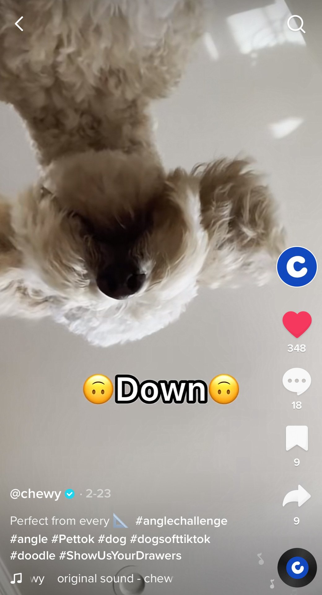 RonnyNause_Chewy_TikTok_Screenshot_1401.jpg