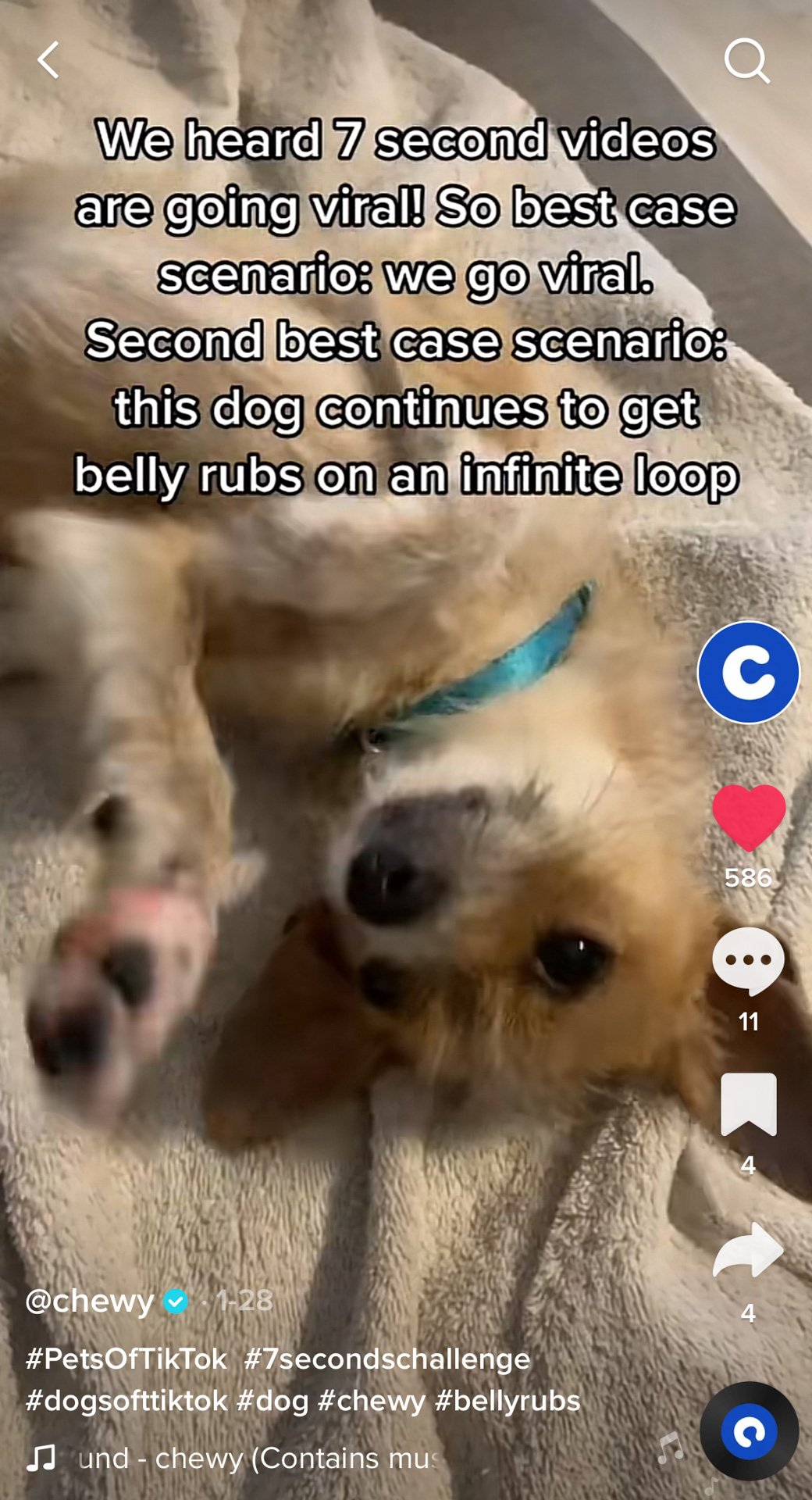 RonnyNause_Chewy_TikTok_Screenshot_1407.jpg