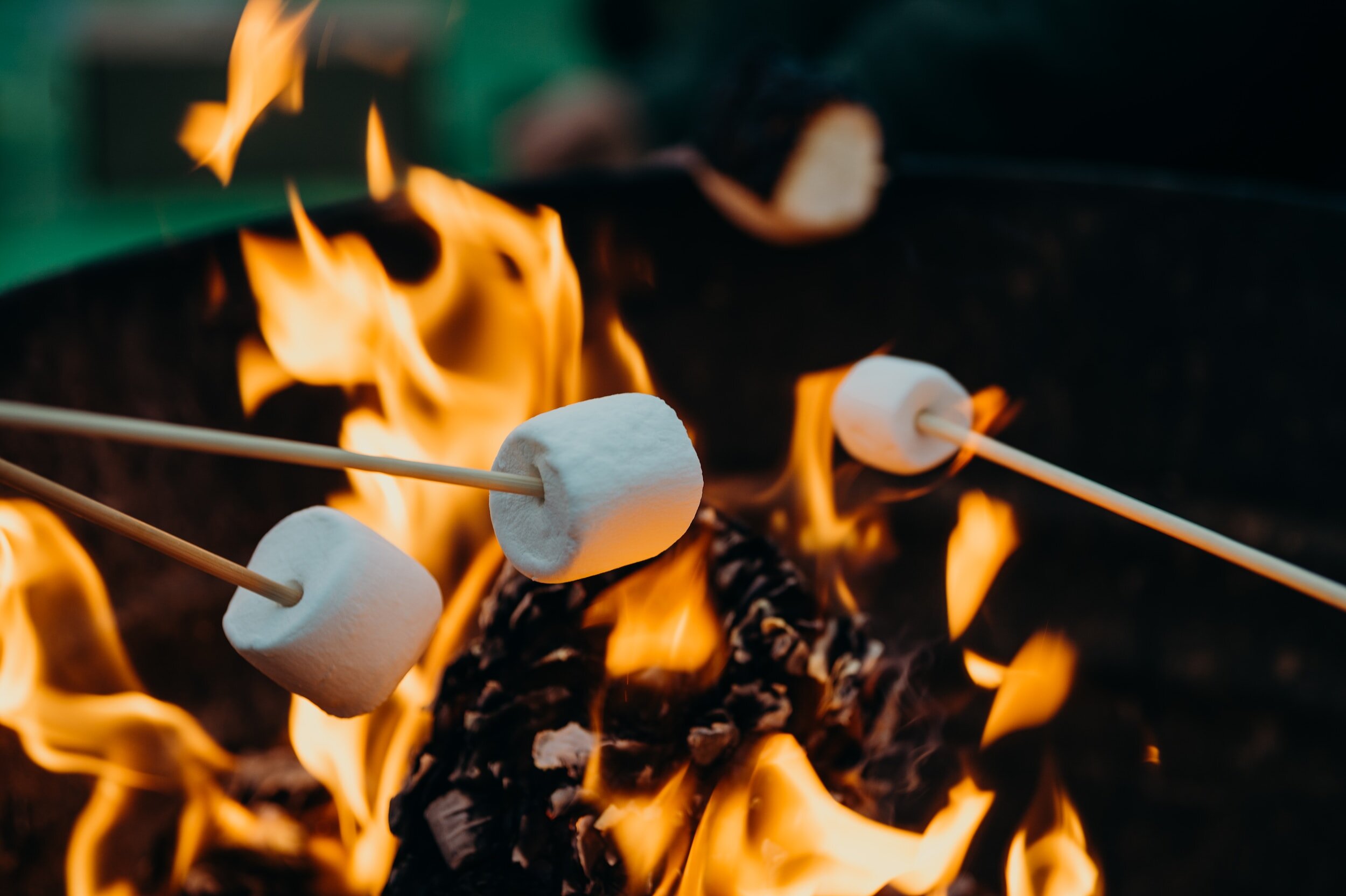 Seminar Forest Campfire