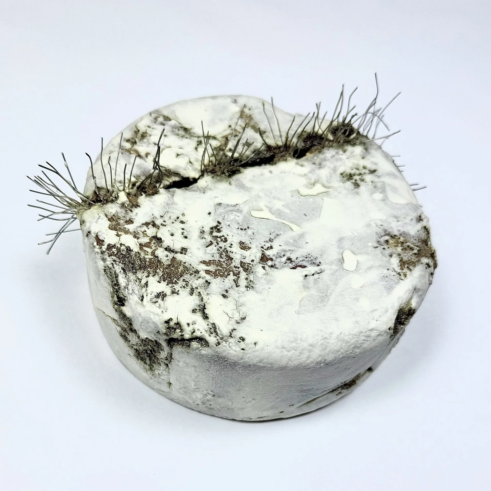 other planet spikey white side.jpg