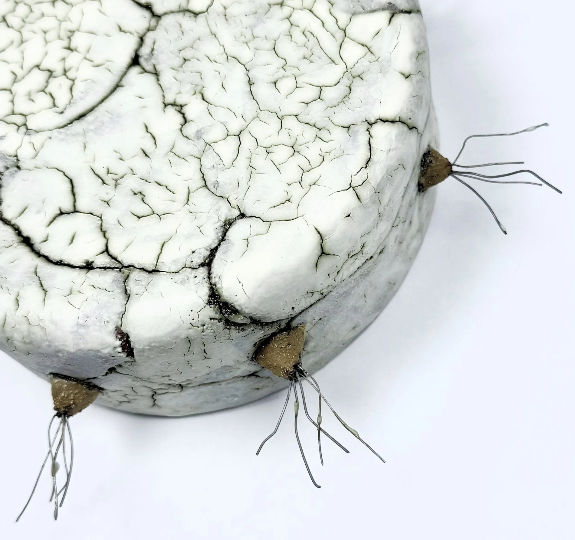 white spark planet cclose.jpg