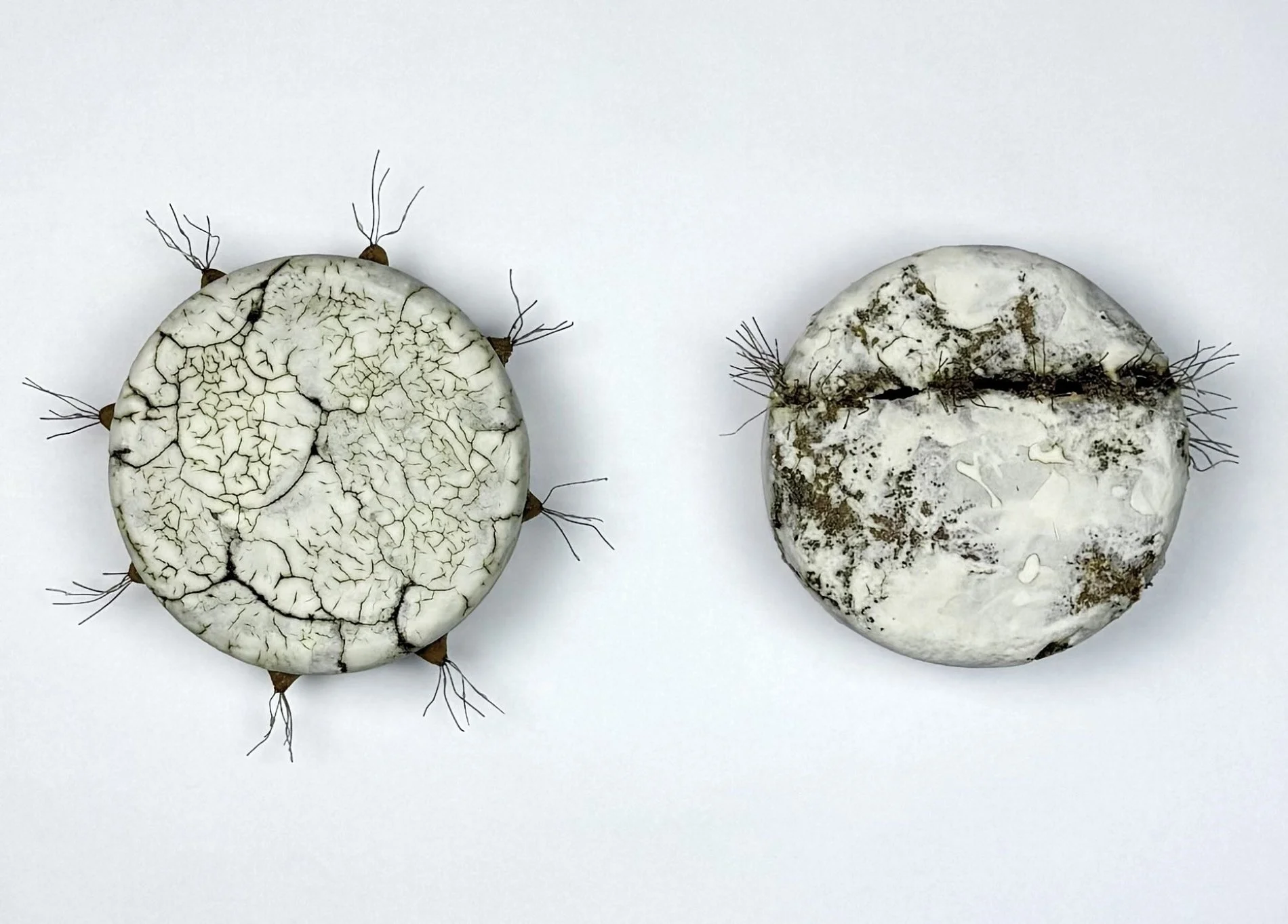 Two White planets.jpg