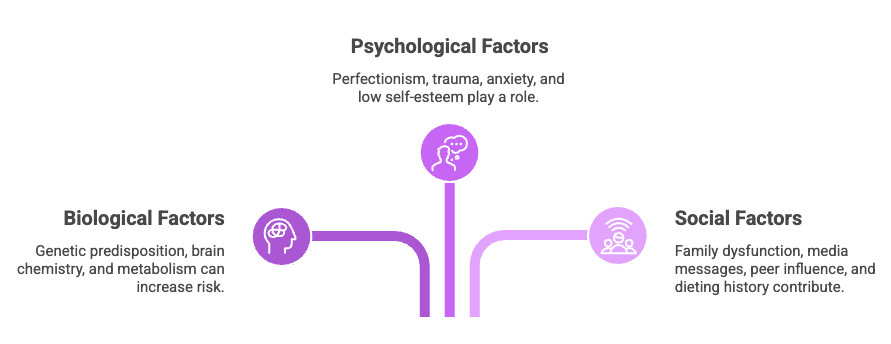 Graphic summarizing the risk factors of an eating disorder