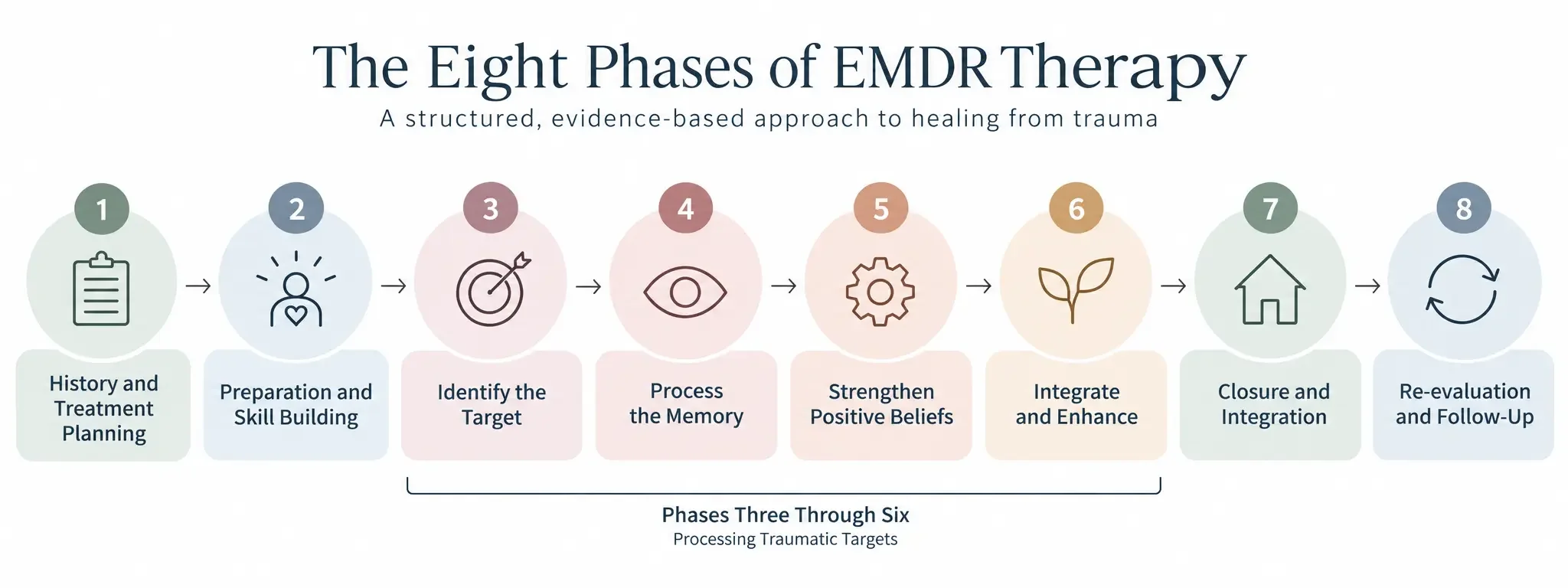 Graphic depicting the 8 phases on EMDR