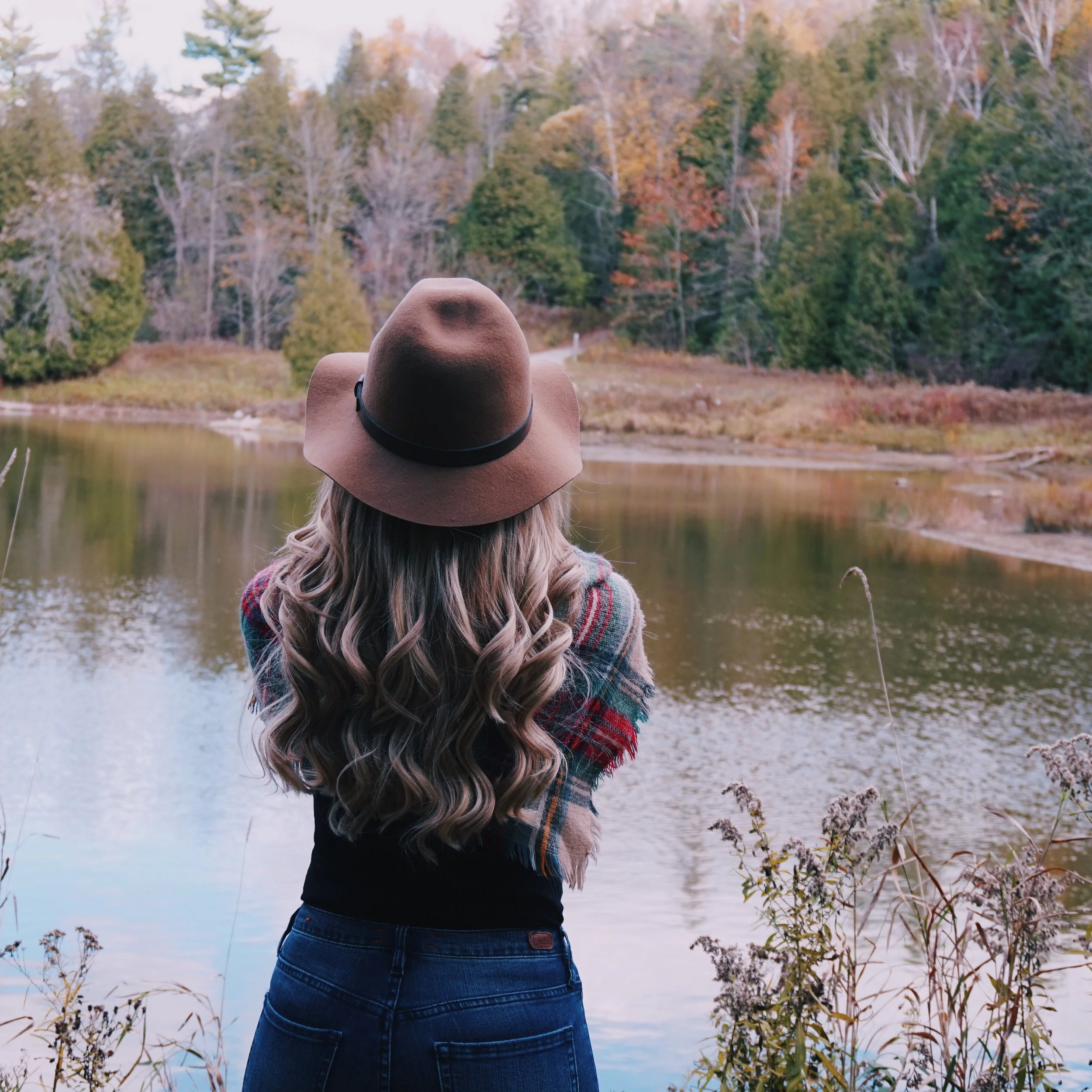 Fall Favourites 2016