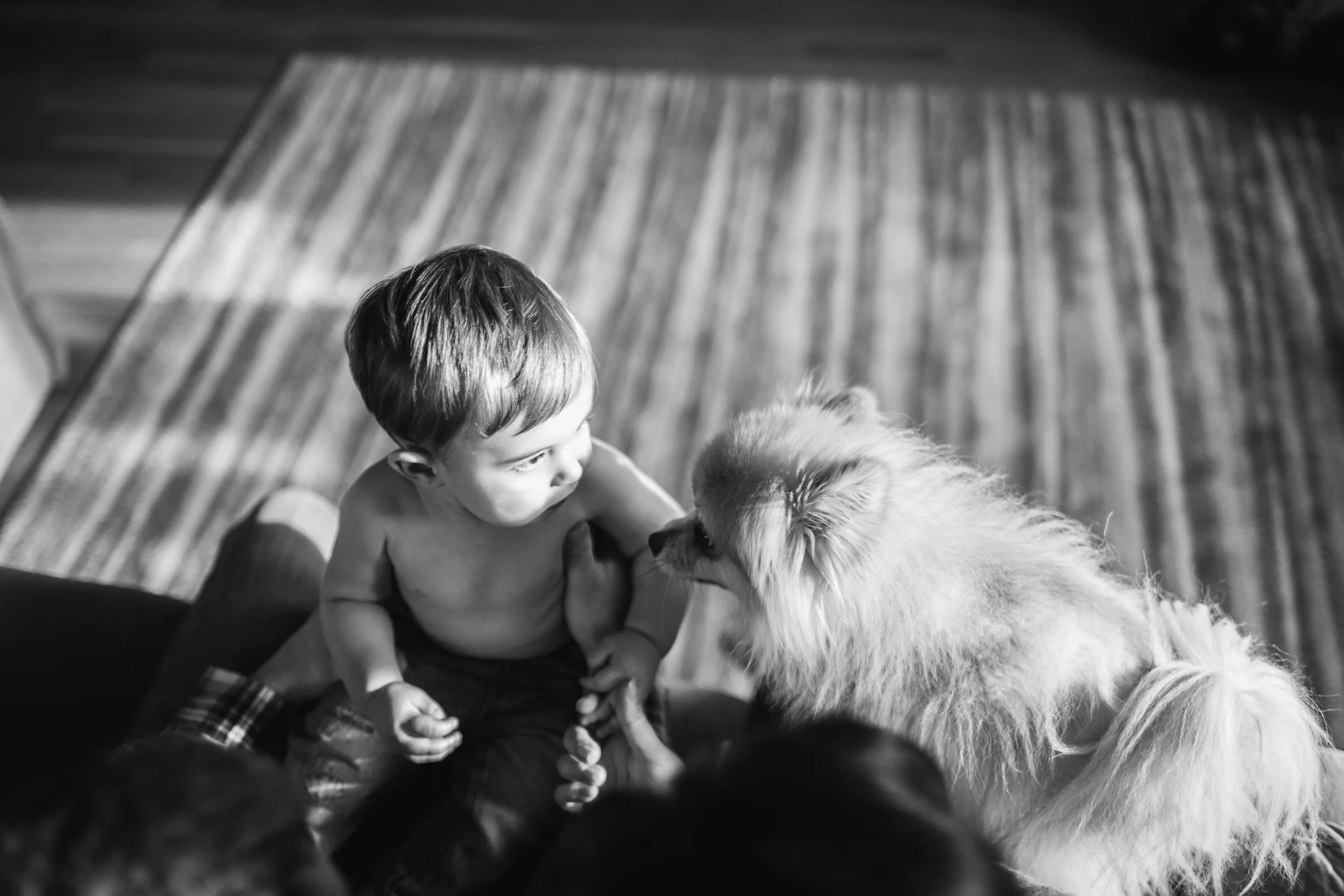 maddox-7.jpg