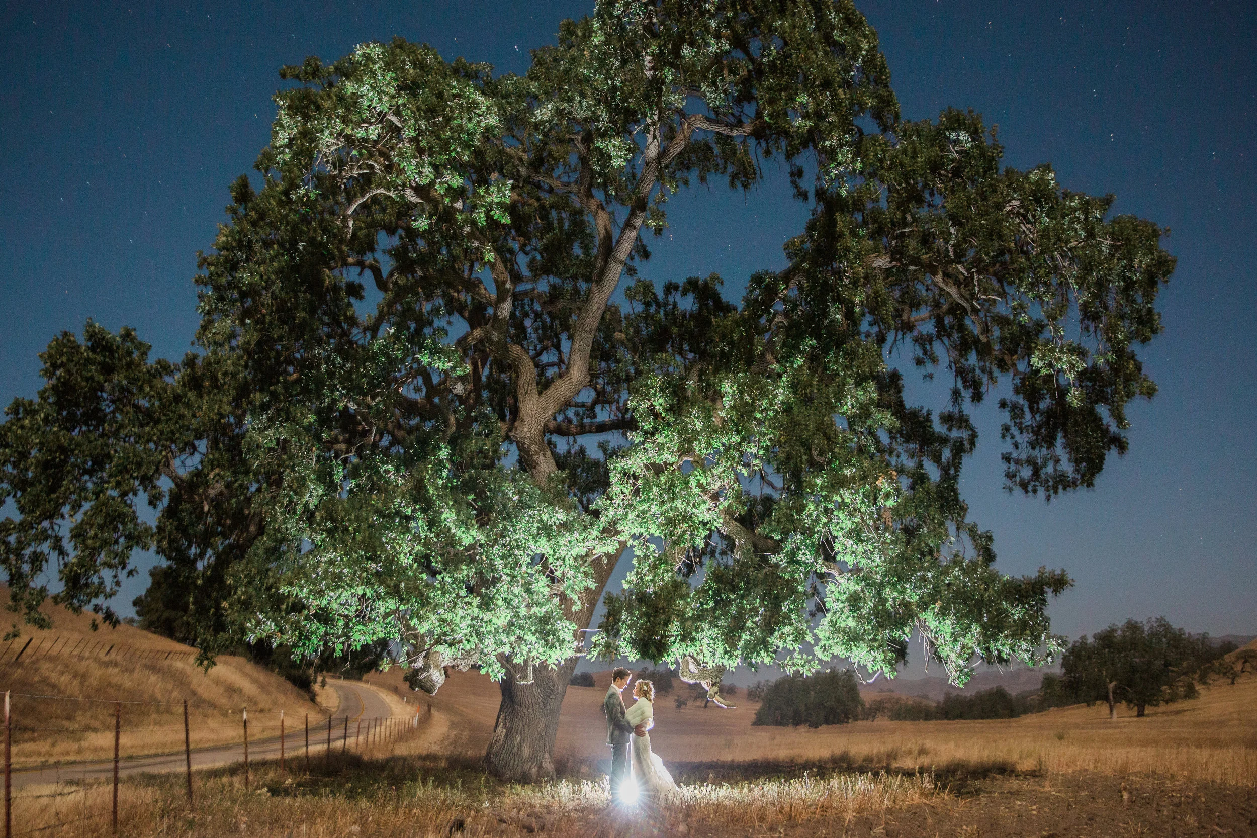 A oak tree envelops a bride and groom