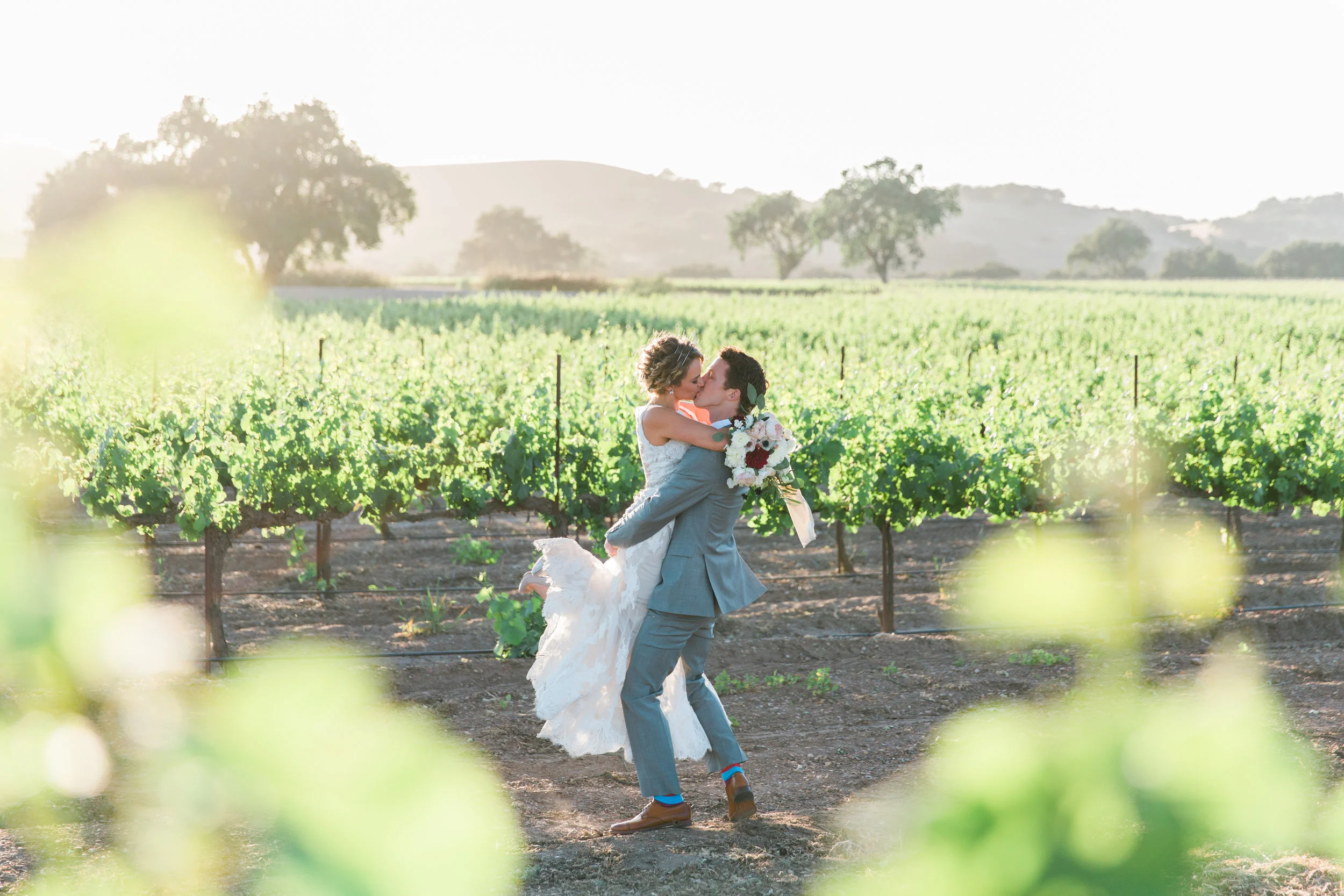 Bride and Groom in a vineyard