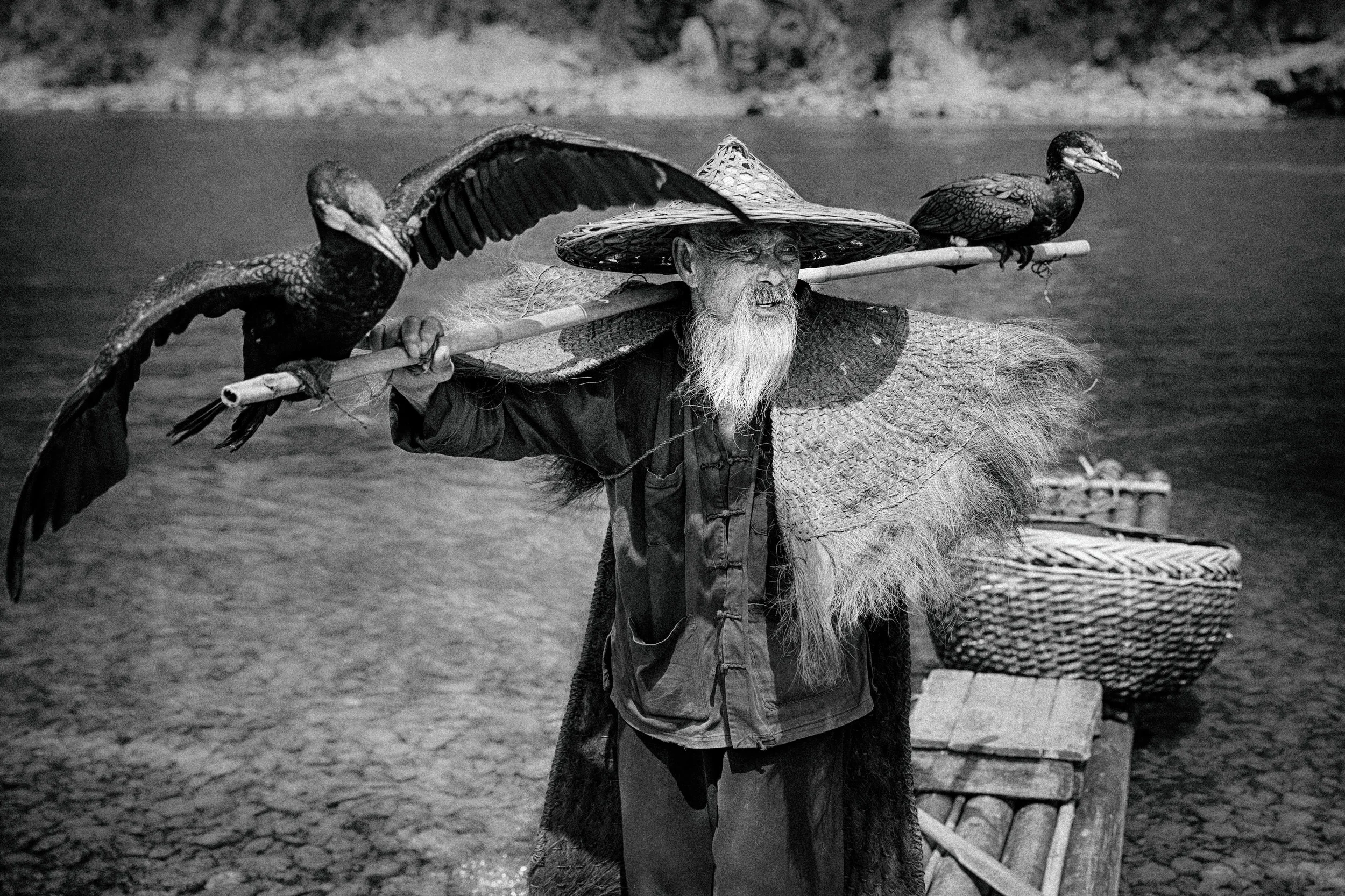 Chinese fisherman uses birds to capture food
