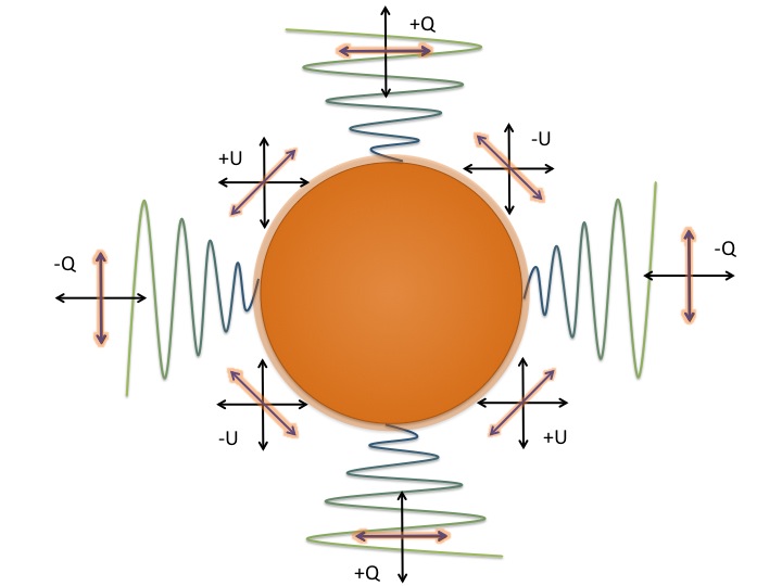 Net starlight is usually unpolarised, and a planet can polarise the light as it scatters off an ocean or through the atmosphere via Rayleigh scattering or rainbow effects.