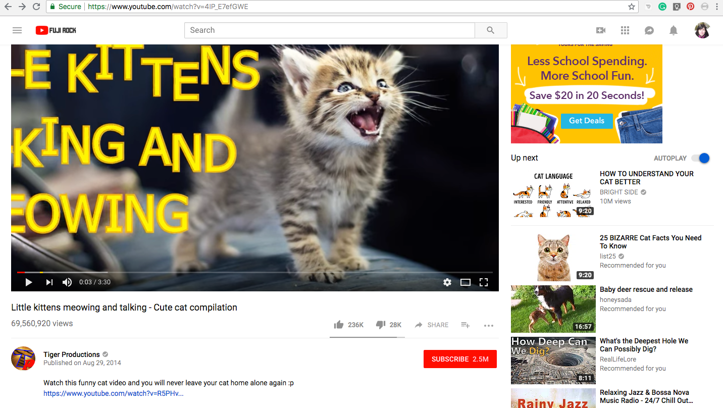 Screen Shot 2018-07-26 at 1.03.45 PM.png