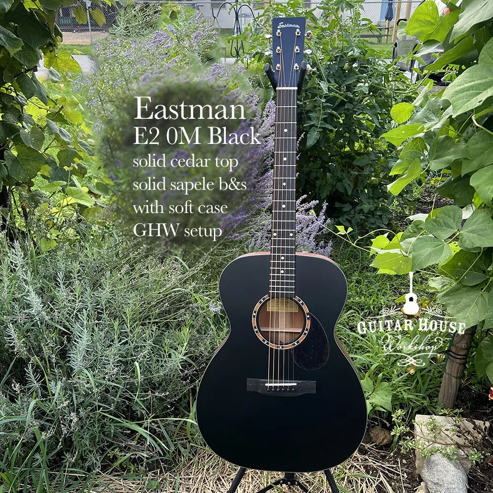 E2- OM Black $699