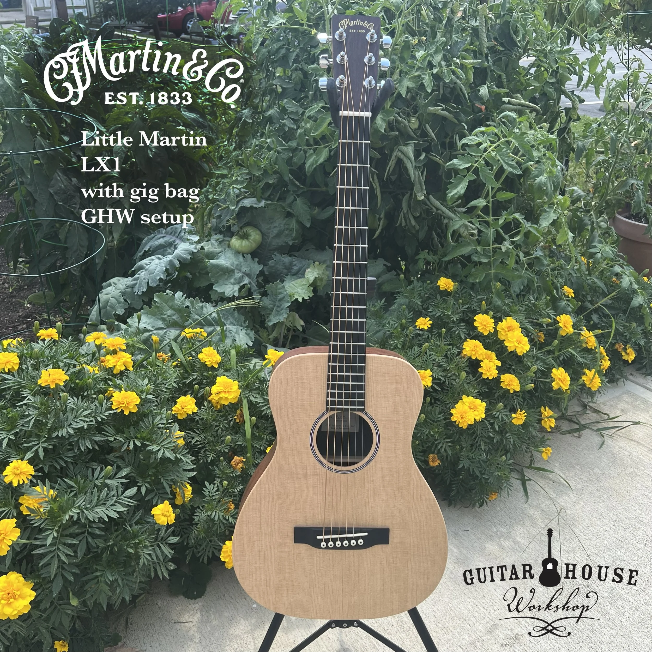 Martin LX1 $449