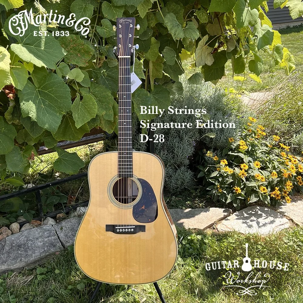 Billy Strings Spcl D-28 $3799