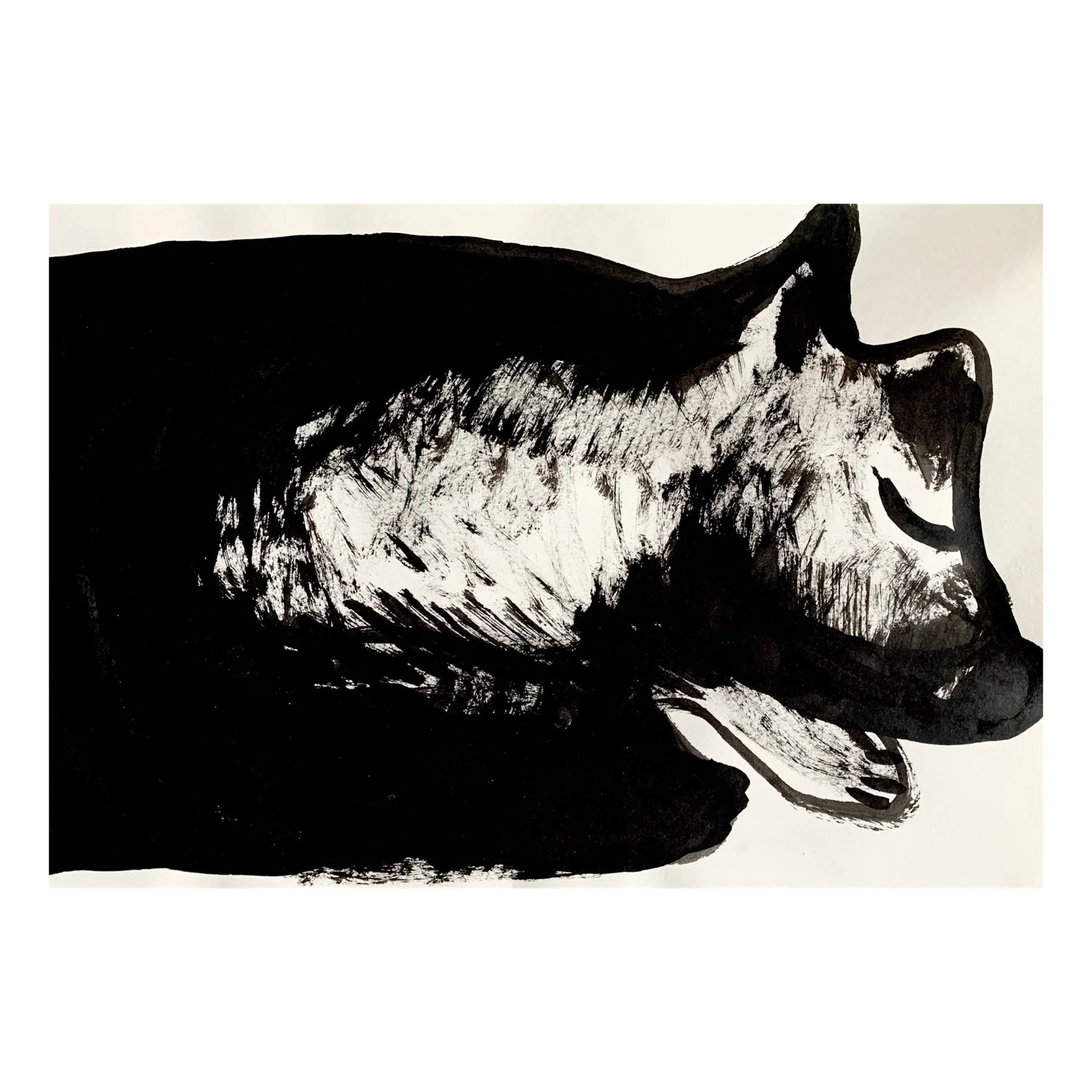 7BF2EB92-02B1-435B-AEC3-1BA1FD0C3141 2.jpg