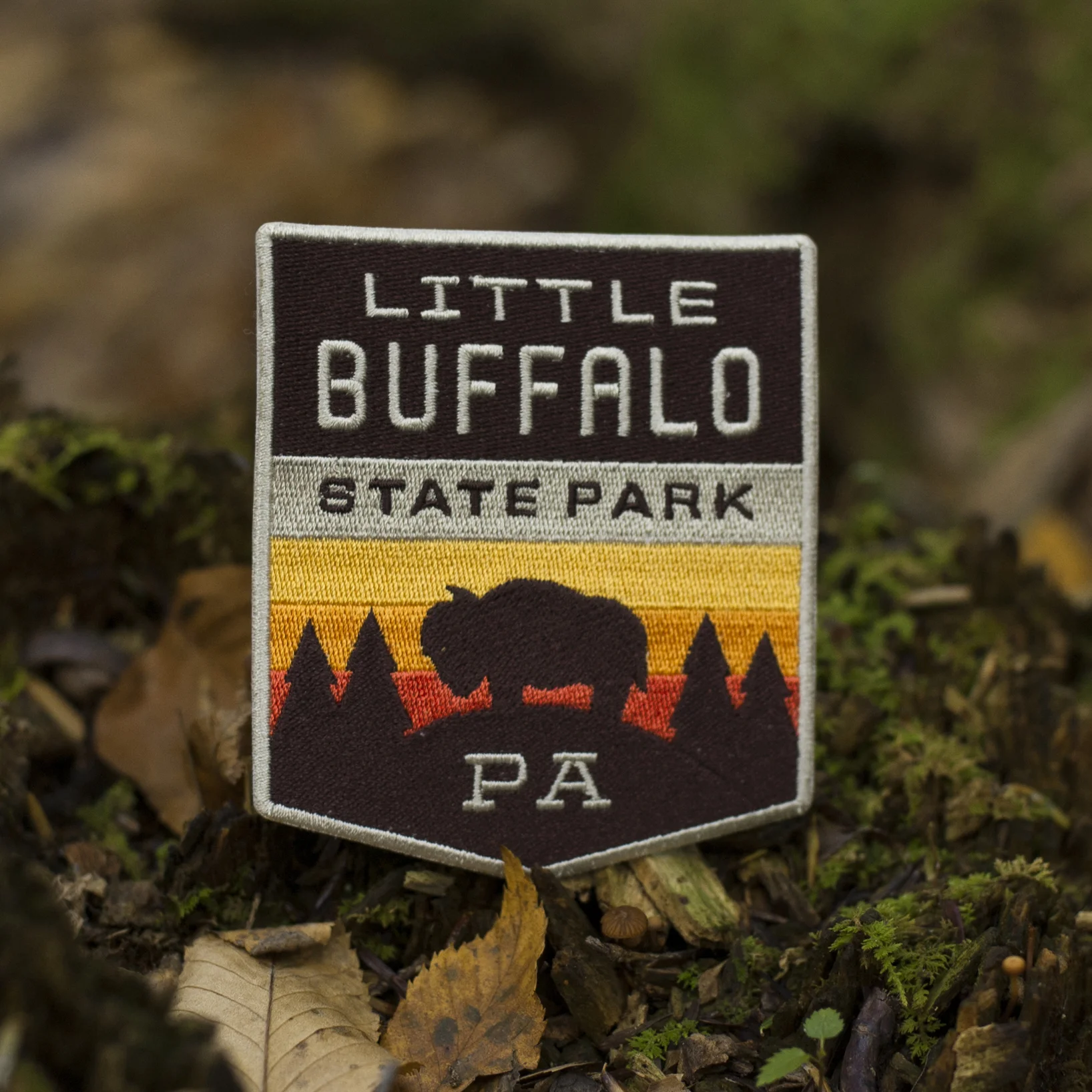 Little Buffalo Patch