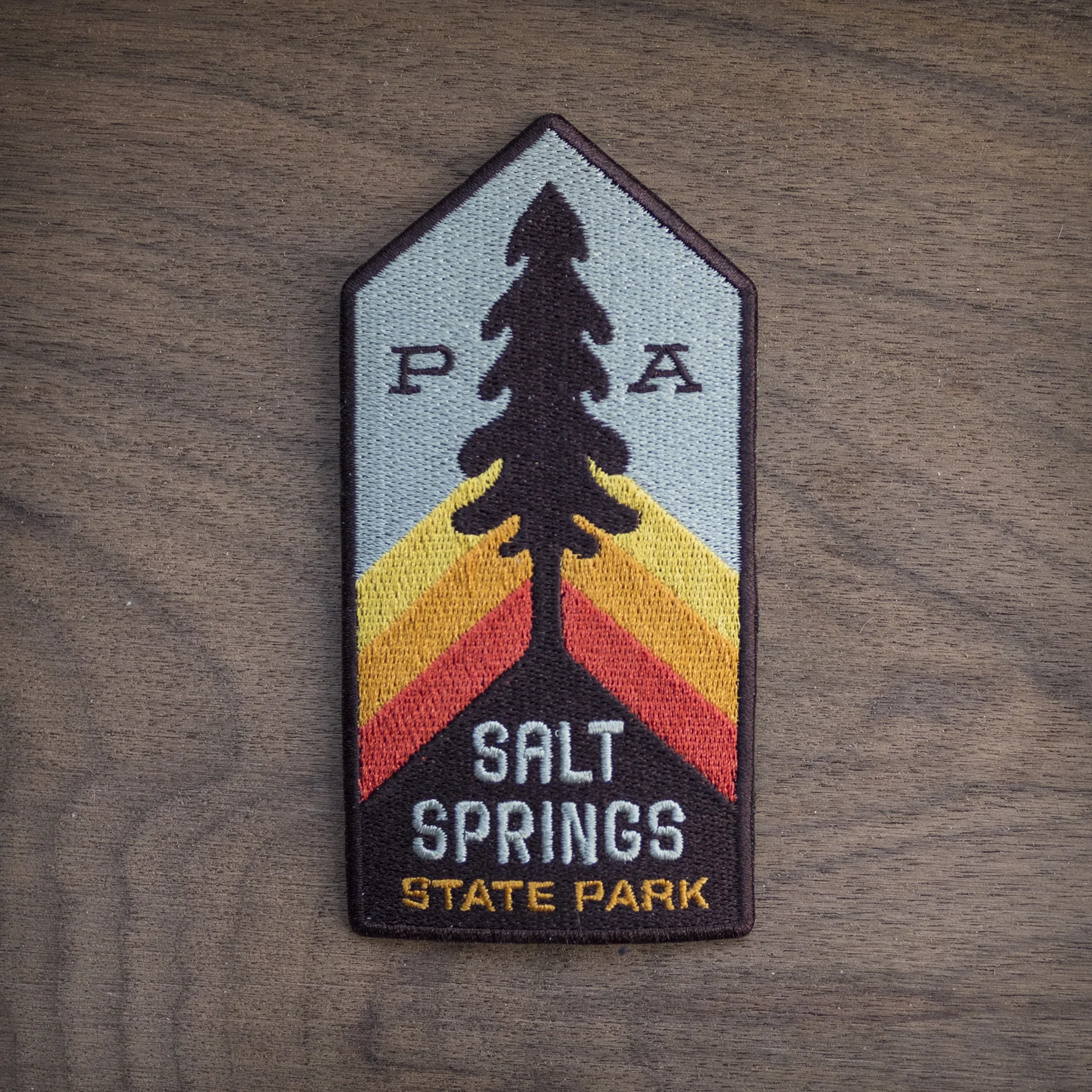 Salt Springs Patch