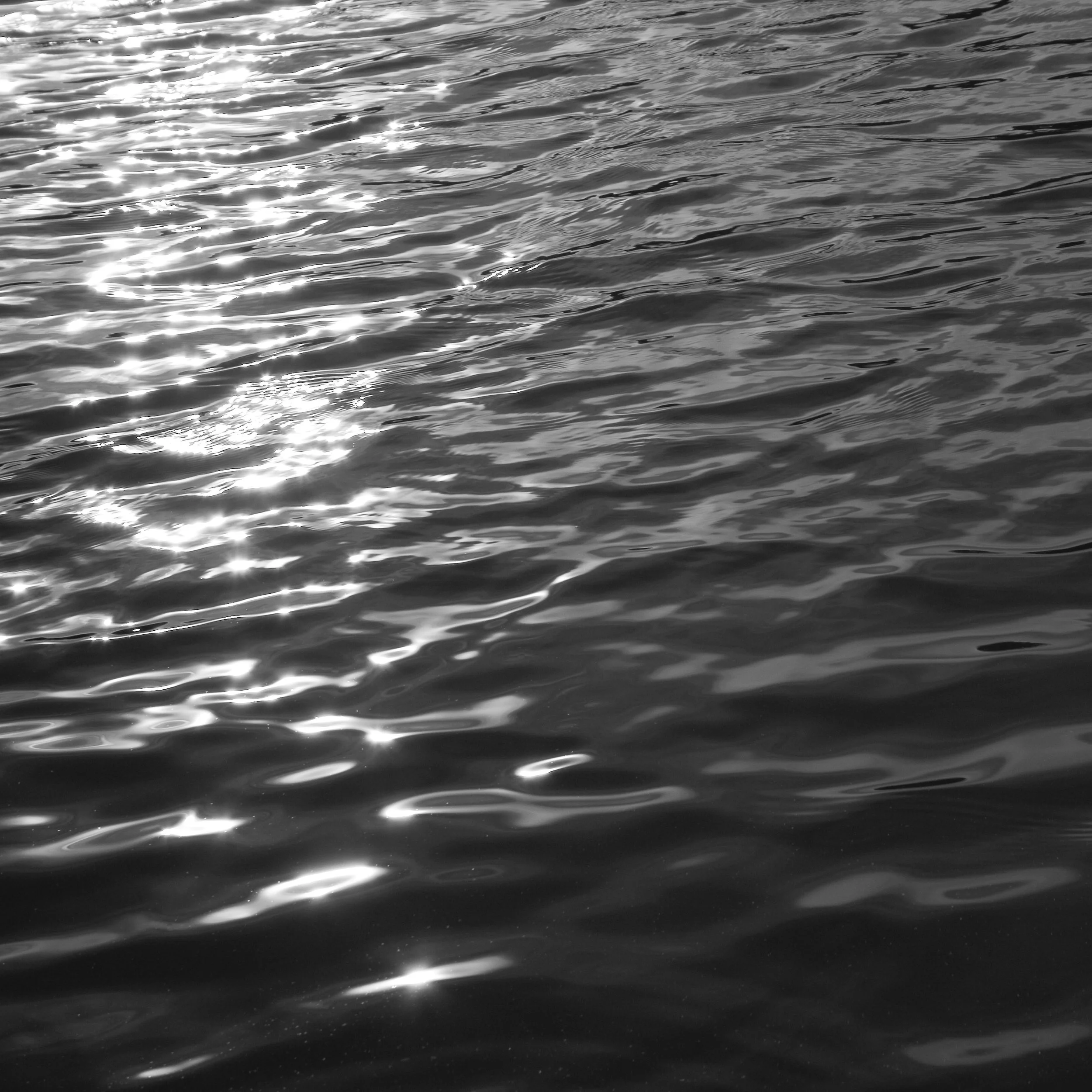 IMG_3362--sharp copy.jpg