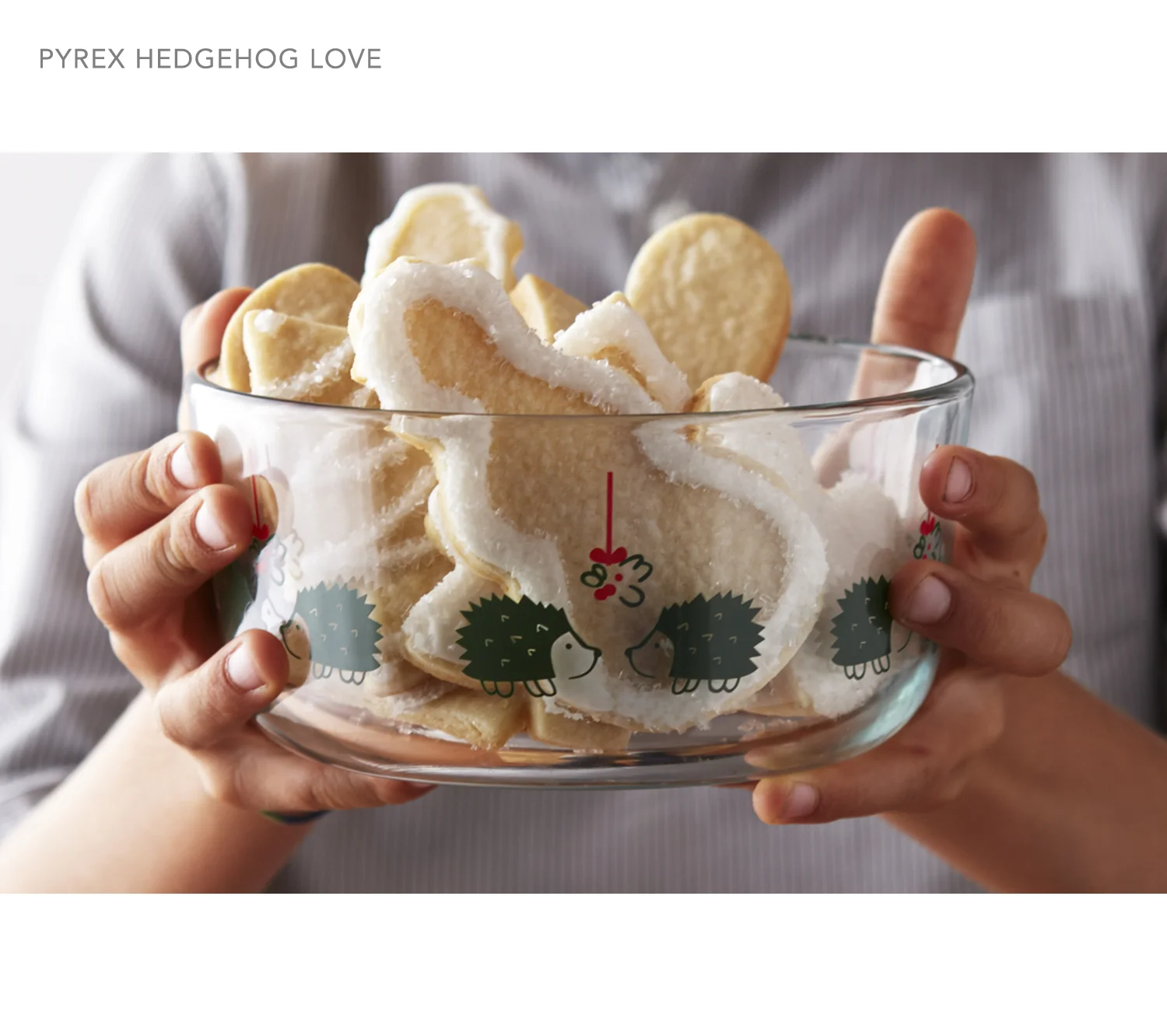 HedgehogLove.jpg