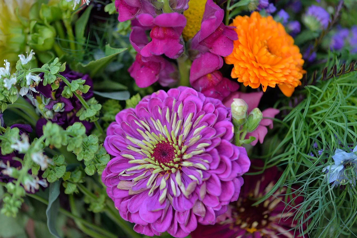 Yellow-Paddle-Farmette-Flowers-Breanna-Sept-2016-28.jpg
